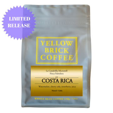 *Pre-Order* Costa Rica - Gesha Natural